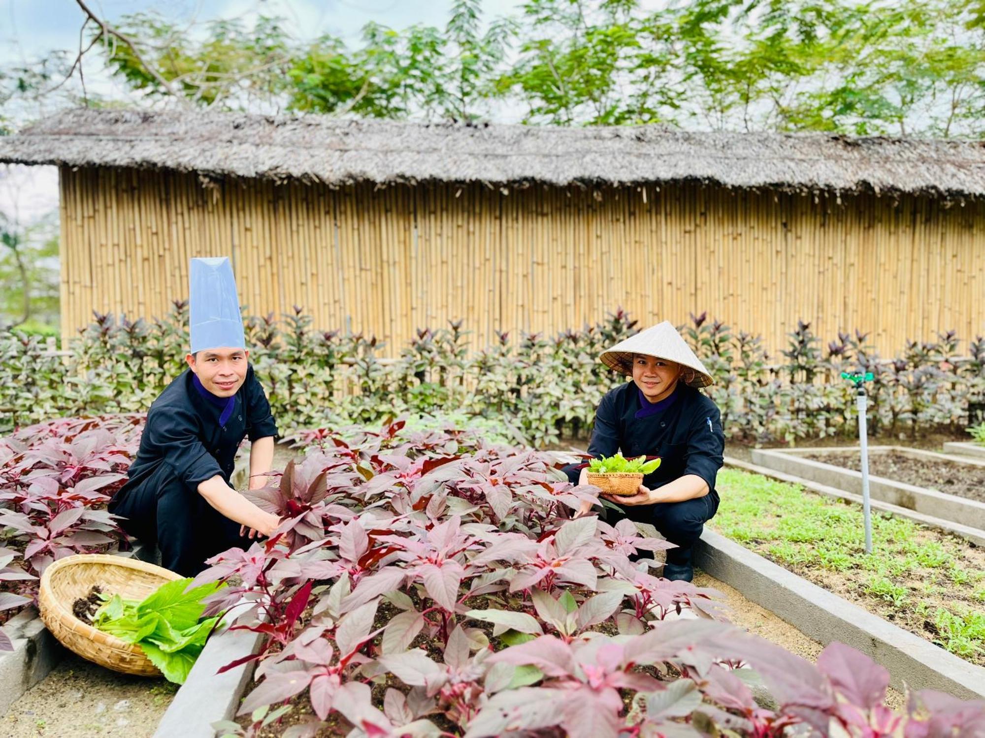 Ttc Van Phong Bay Resort - Himalaya Sauna & Steam Retreat Included Ninh Hoa Bagian luar foto