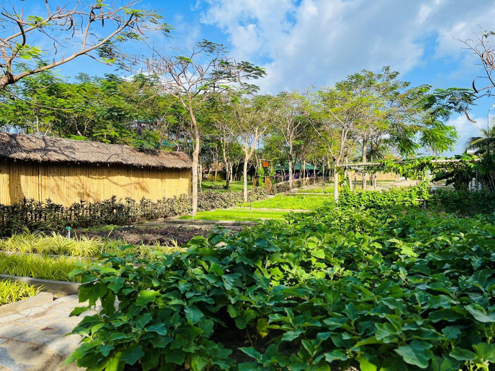 Ttc Van Phong Bay Resort - Himalaya Sauna & Steam Retreat Included Ninh Hoa Bagian luar foto
